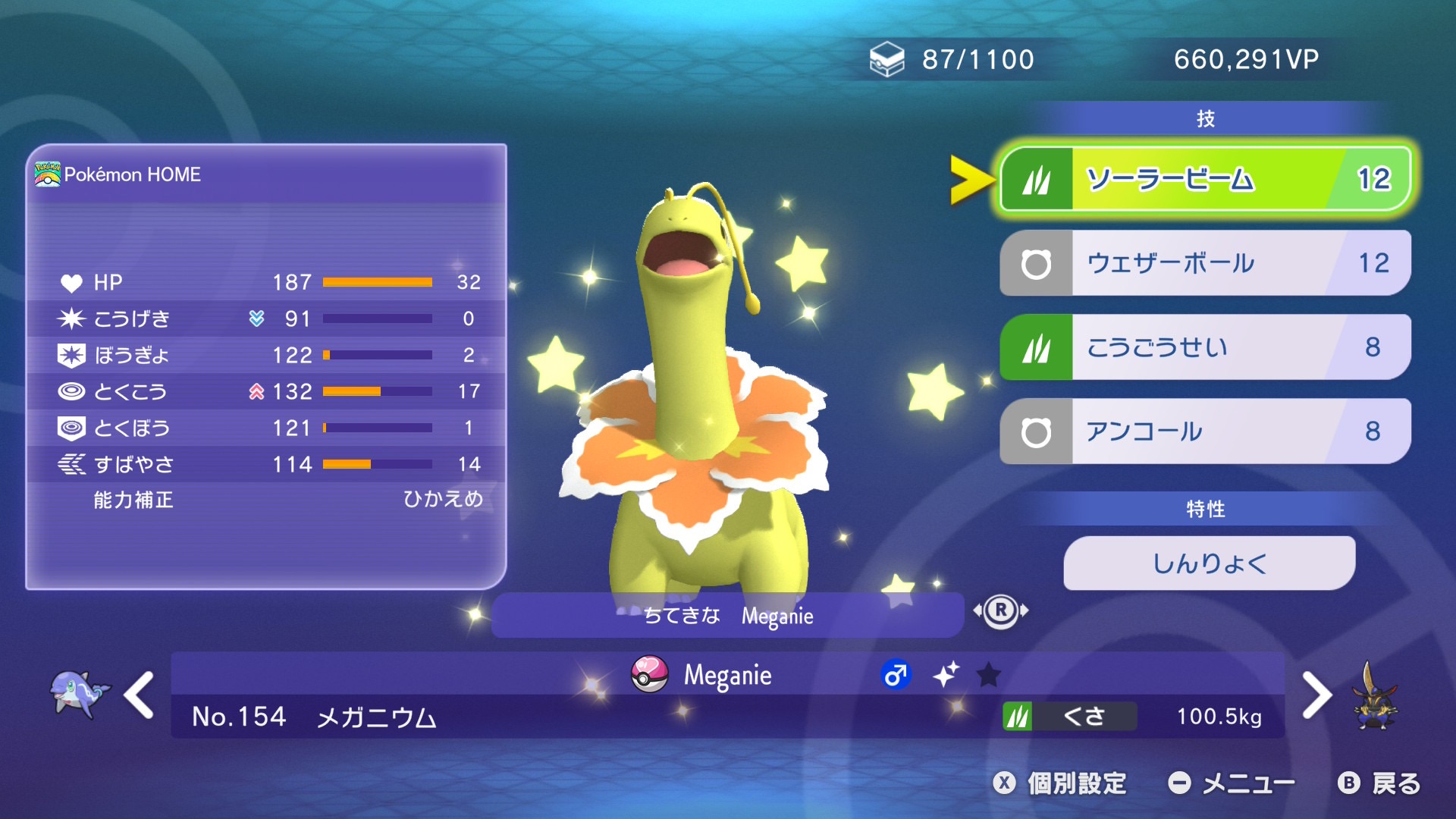 知的なメガニウム