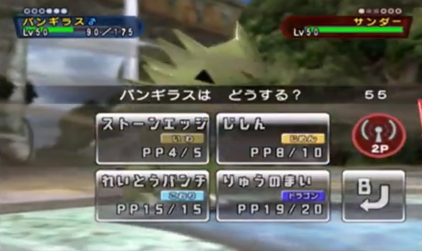 両ポケモンが映る瞬間が無かった