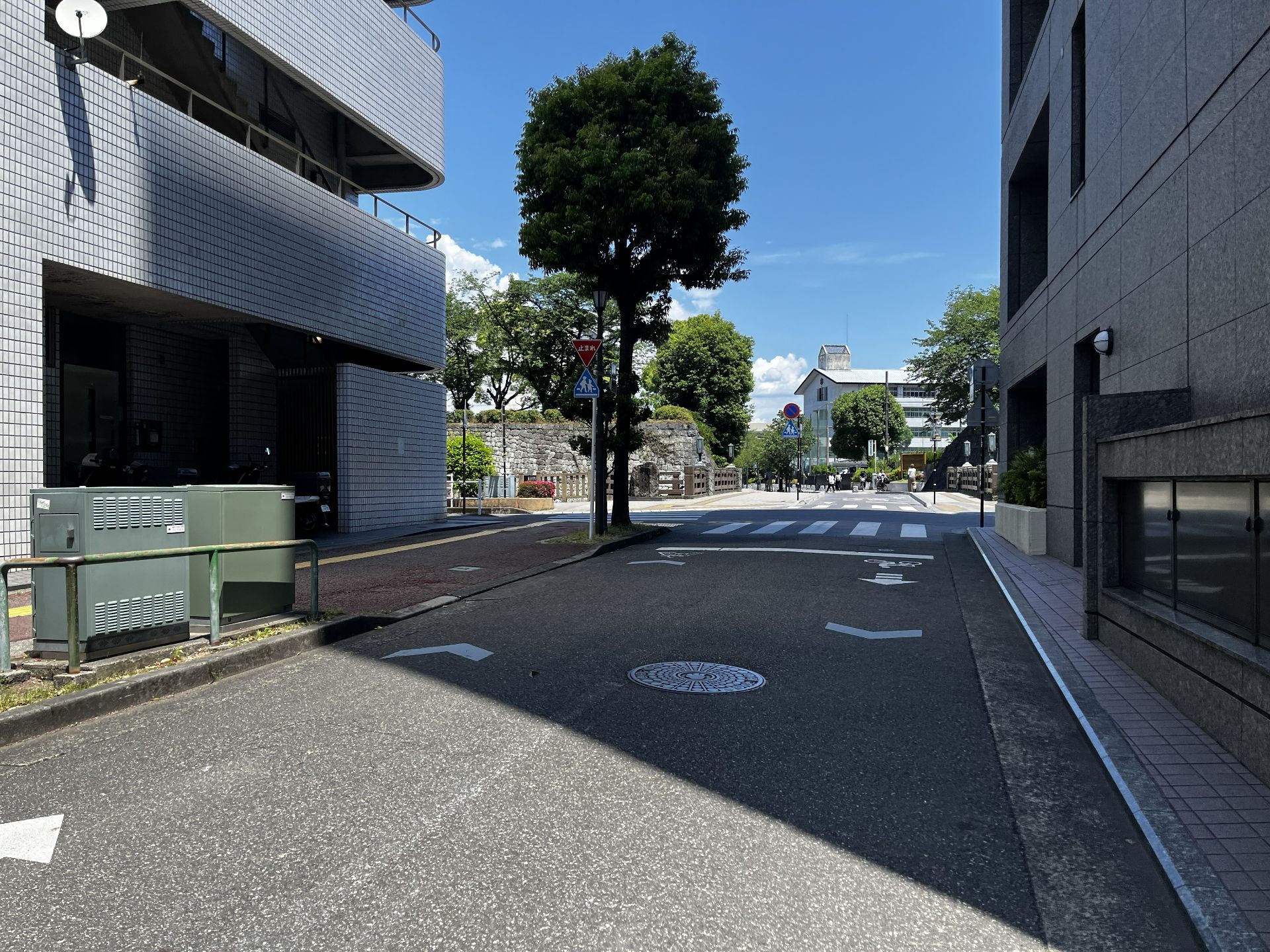少し石垣が見えます。