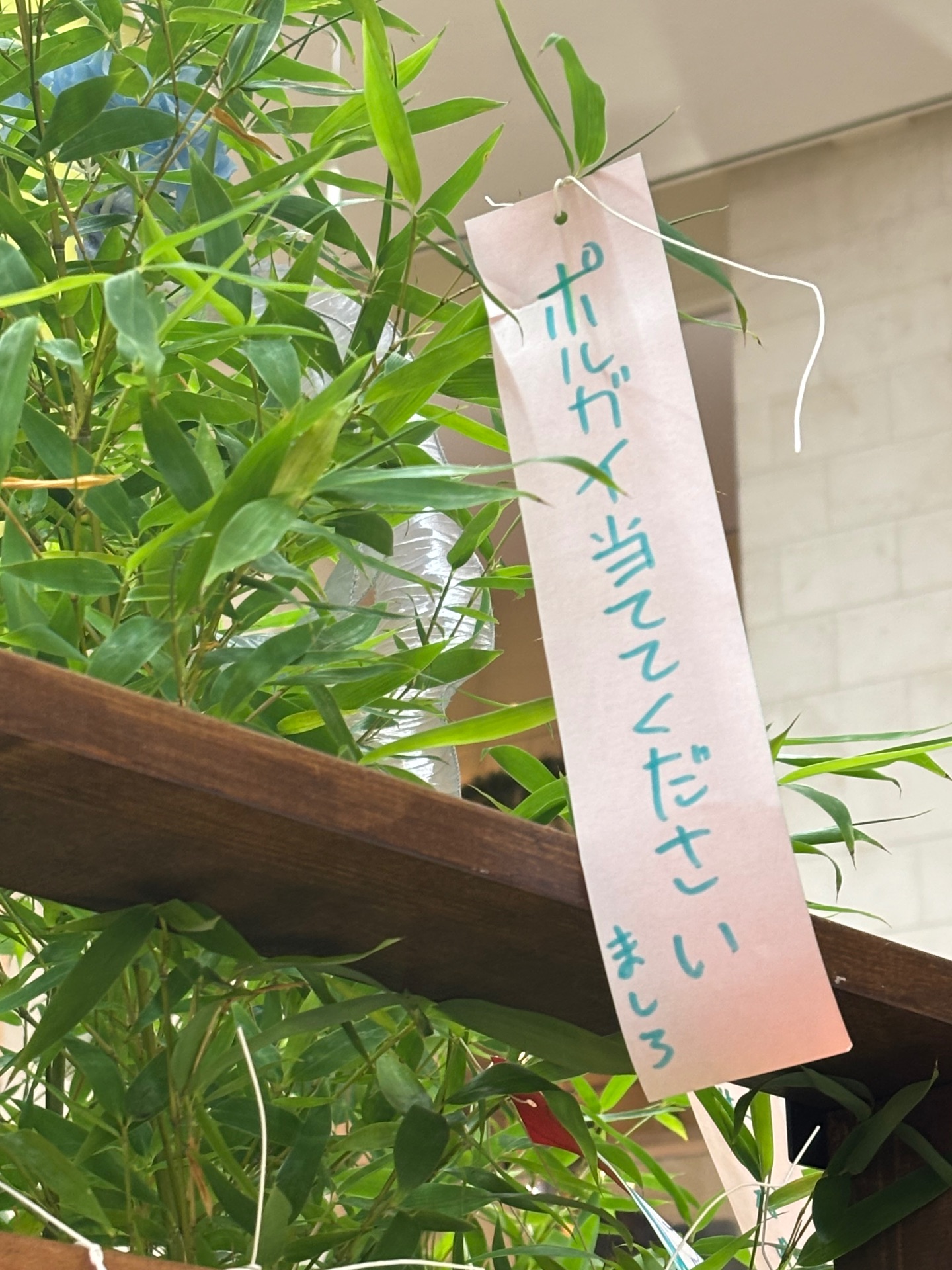 当ててほしすぎて短冊に書いた!!🥲